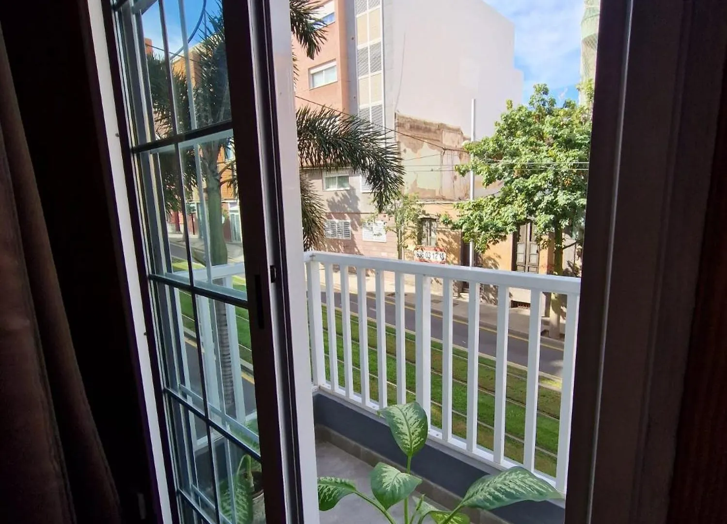 Ostello Tenerife Dreams Coffee&Bed Santa Cruz de Tenerife Spagna